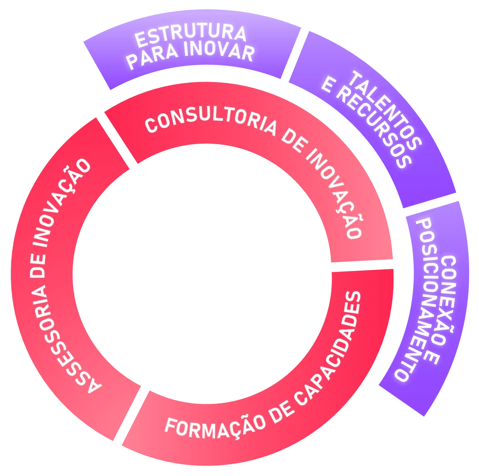 Ciclo contínuo: Consultoria, Assessoria e Formação de capacidades no centro, com Estrutura para inovar, Talentos e recursos e Conexão e posicionamento em volta